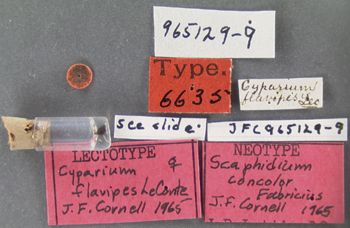 Media type: image;   Entomology 6635 Aspect: labels